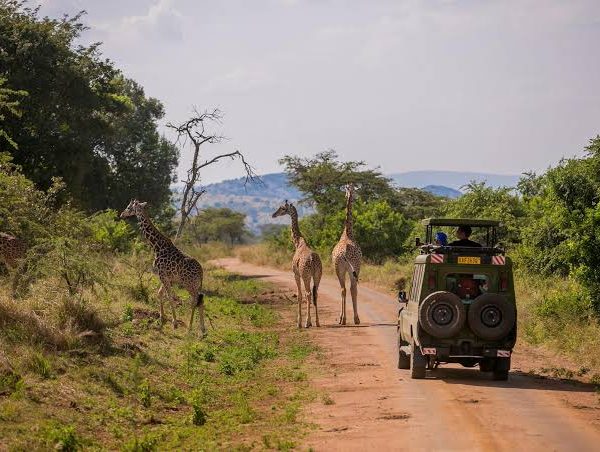 Gluten Free and Dairy Free Travel in Uganda and Rwanda