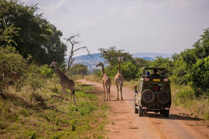 Gluten Free and Dairy Free Travel in Uganda and Rwanda