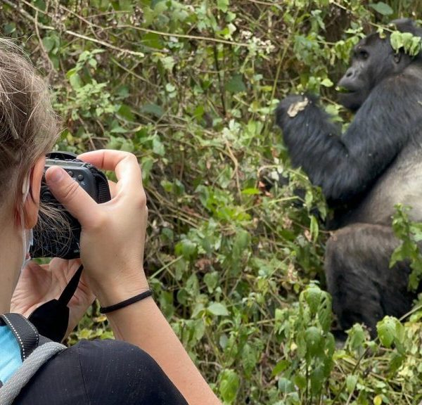 Gorilla Trekking Etiquette2 600x576
