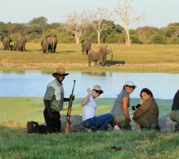 Hearing or Vision Loss on Safari: How Guides Adapt Wildlife Viewing
