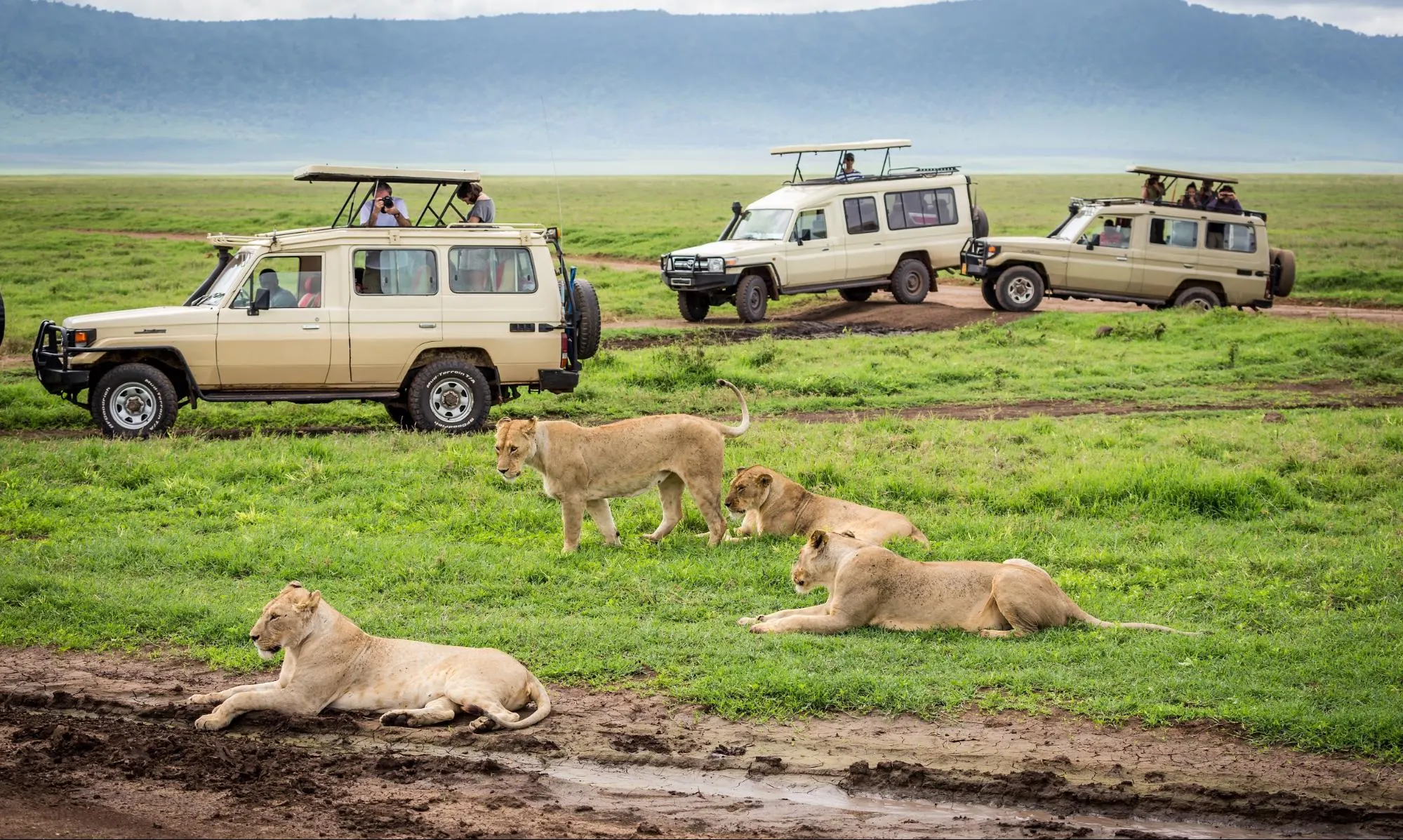 How Much Cash to Carry on a Tanzania Safari