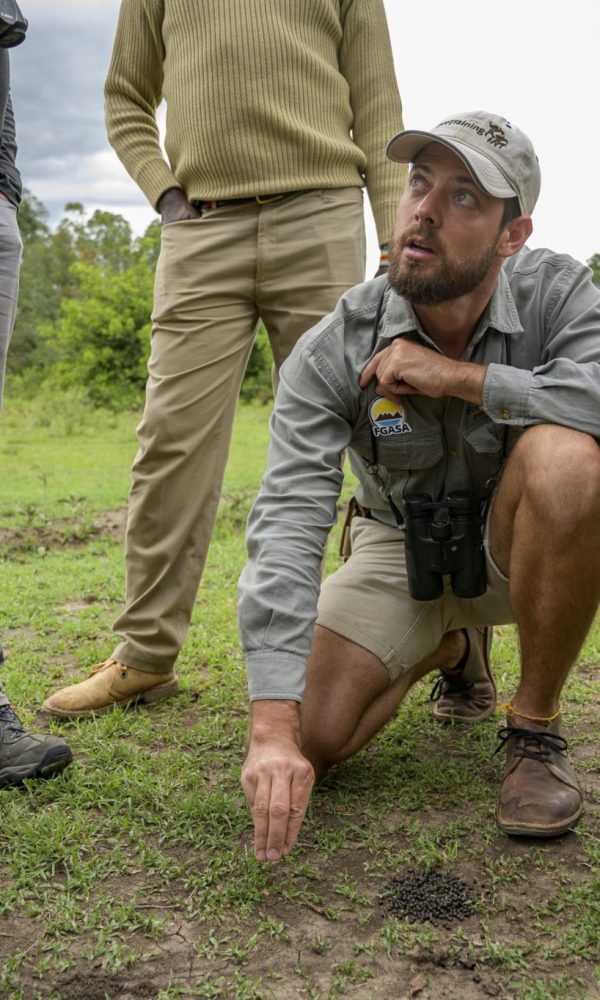 How Safari Guides Train: Certification Levels in Kenya and Tanzania