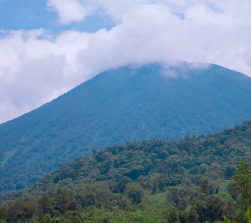How to Get from Kigali to Volcanoes National Park 360x320