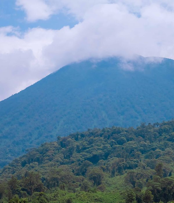 How to Get from Kigali to Volcanoes National Park 600x700