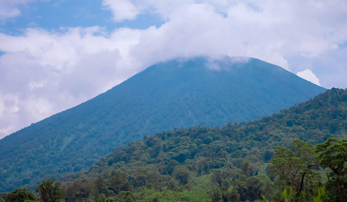 How to Get from Kigali to Volcanoes National Park