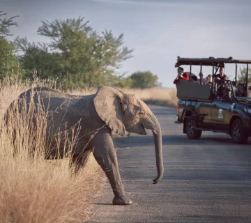 How to Get from Nairobi to Arusha 360x320