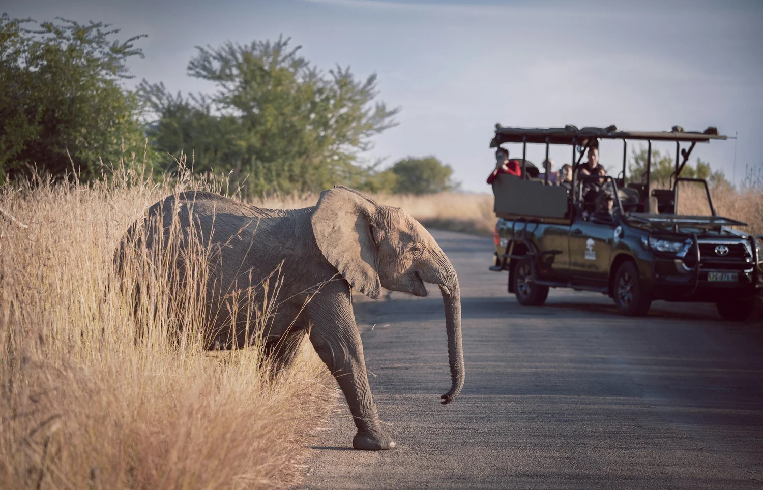 How to Get from Nairobi to Arusha