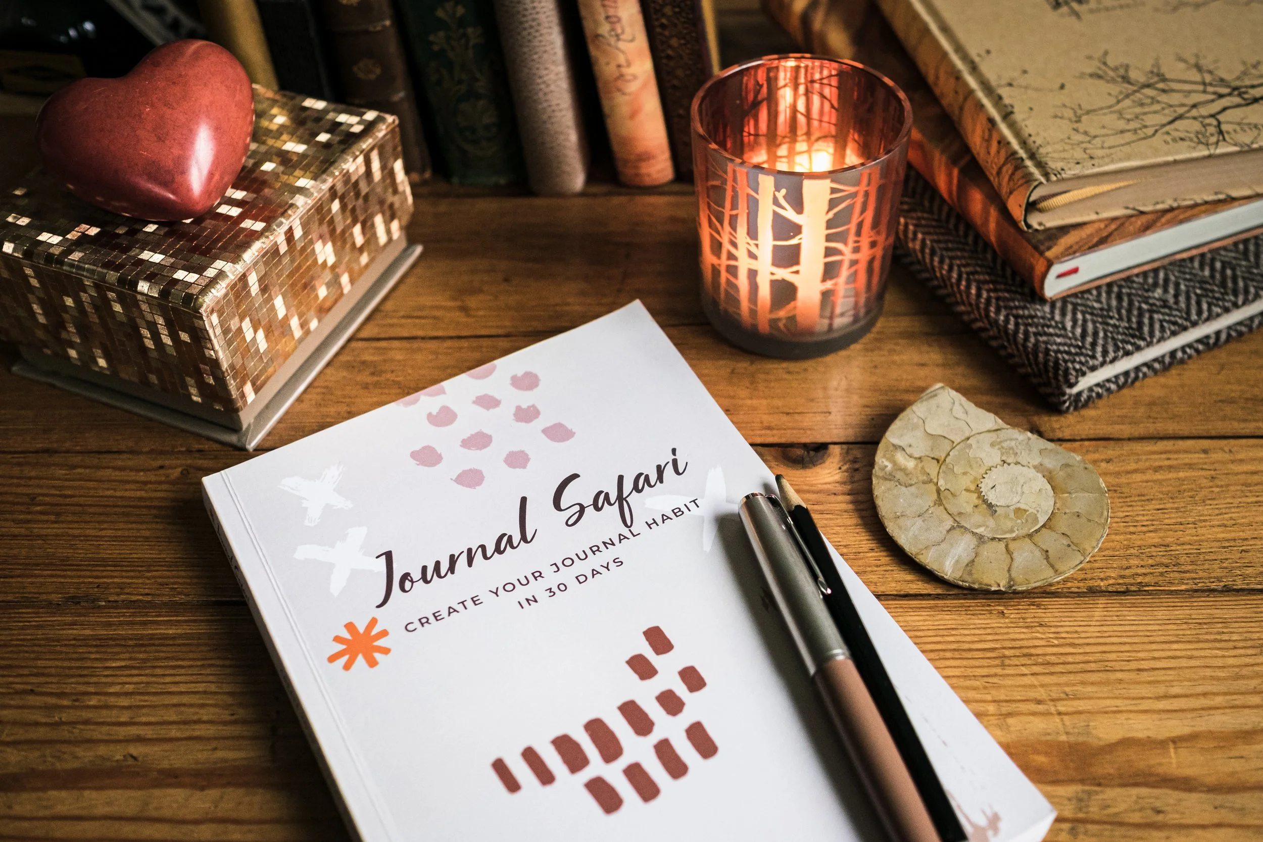 How to Keep a Safari Journal