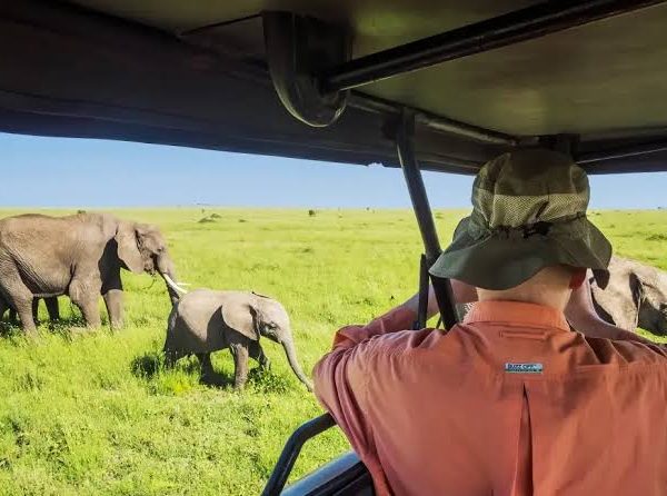 How to Stay Healthy on a Long Safari: Hydration, Sun and Rest