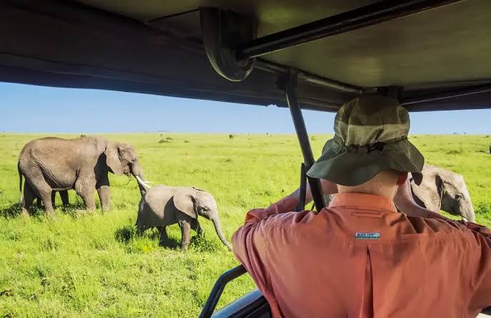 How to Stay Healthy on a Long Safari: Hydration, Sun and Rest