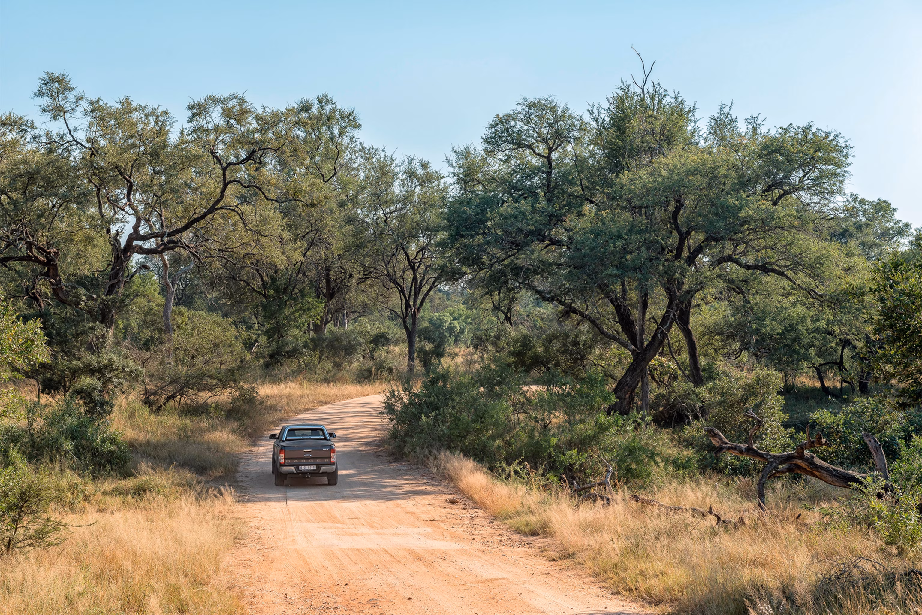Hwange National Park: Zimbabwe's Elephant Stronghold