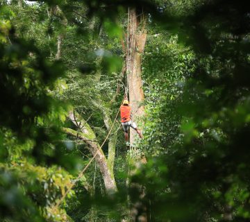 IMG 0163 360x320
