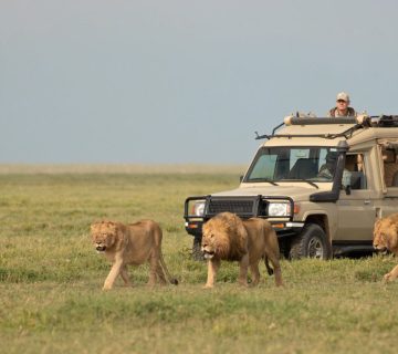 Kenya Safari Costs2 360x320