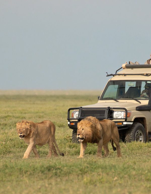 Kenya Safari Costs2 600x768