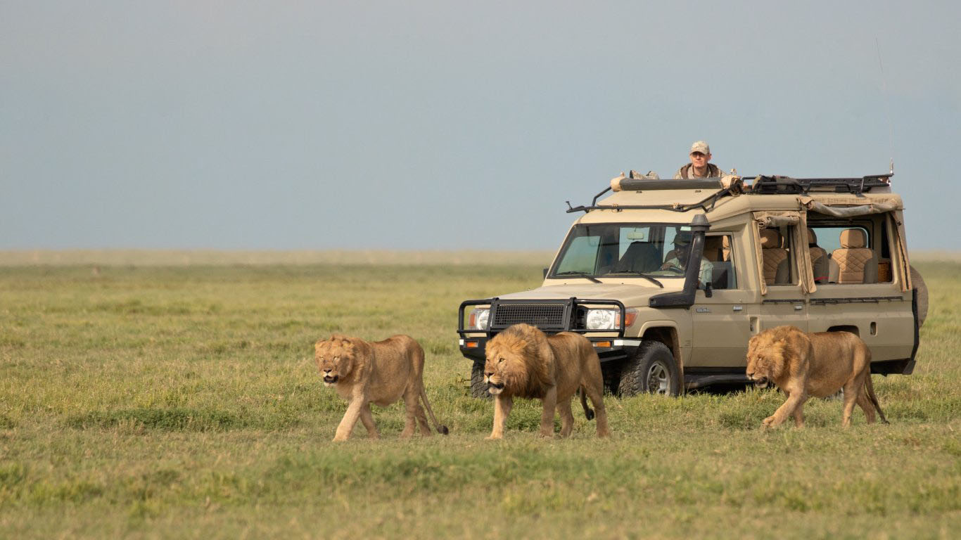Kenya Safari Costs2