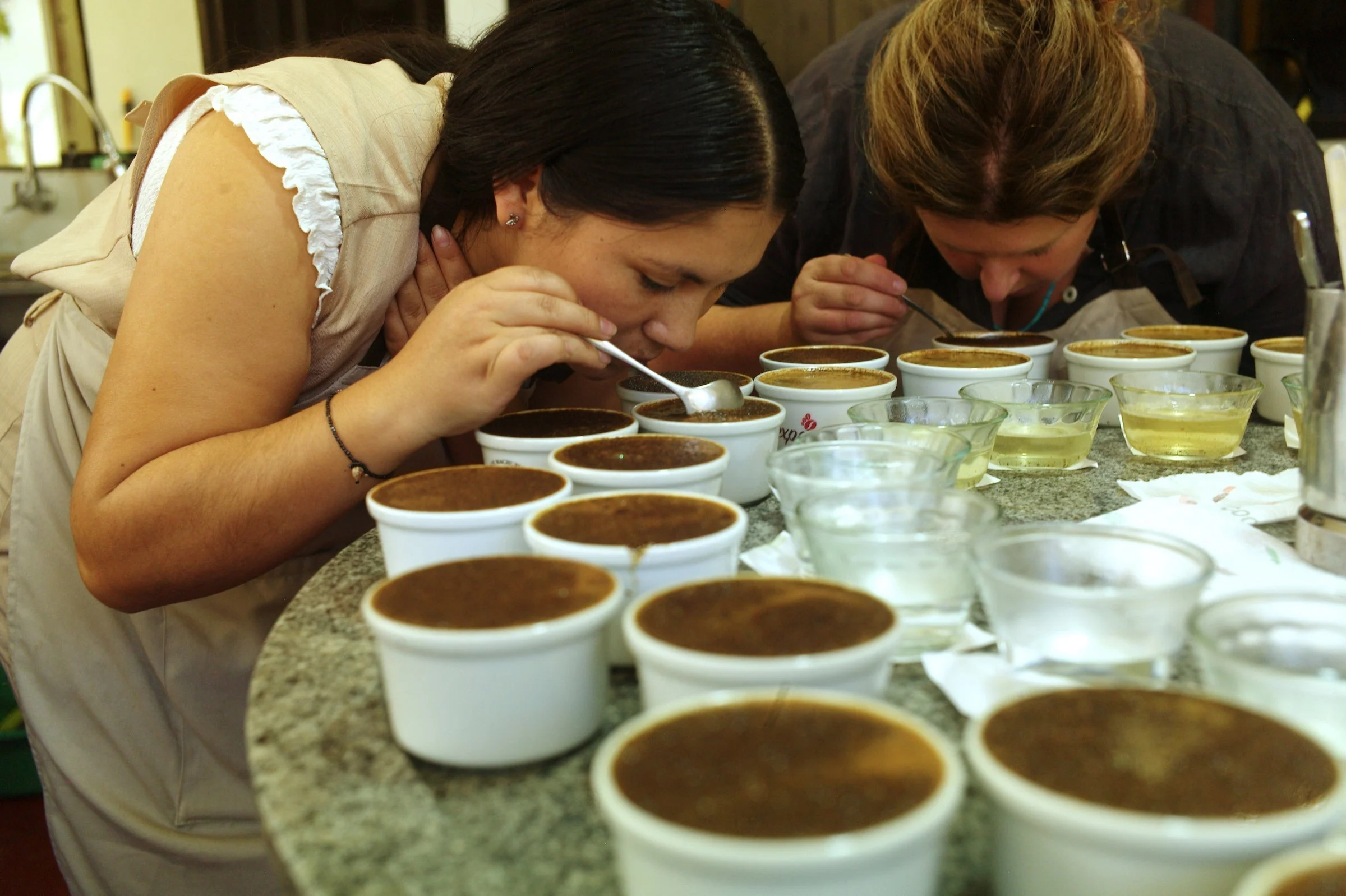 Kenyan Coffee Auctions and Nairobi Cupping Rooms