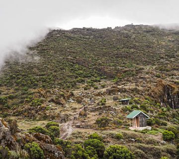 Kilimanjaro Day Hikes: Marangu Gate to Mandara Hut for Non Summit Visitors
