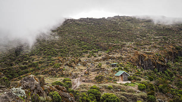 Kilimanjaro Day Hikes: Marangu Gate to Mandara Hut for Non Summit Visitors