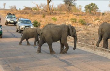 Kruger National Park Self Drive: Rules, Gates and Rest Camps