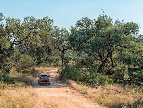 Kruger National Park Self Drive: A Beginner's Guide