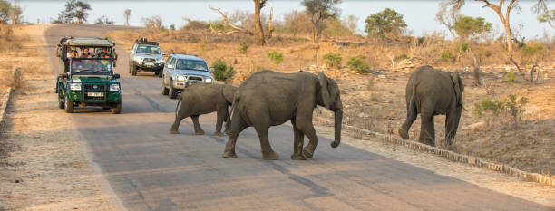 Kruger National Park Self Drive: Rules, Gates and Rest Camps