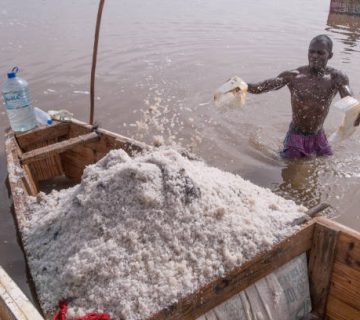 Lake Katwe Salt Works: How Salt Is Still Harvested by Hand