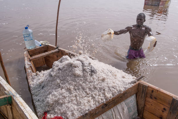 Lake Katwe Salt Works: How Salt Is Still Harvested by Hand
