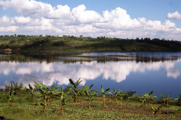Lake Nabugabo Near Masaka