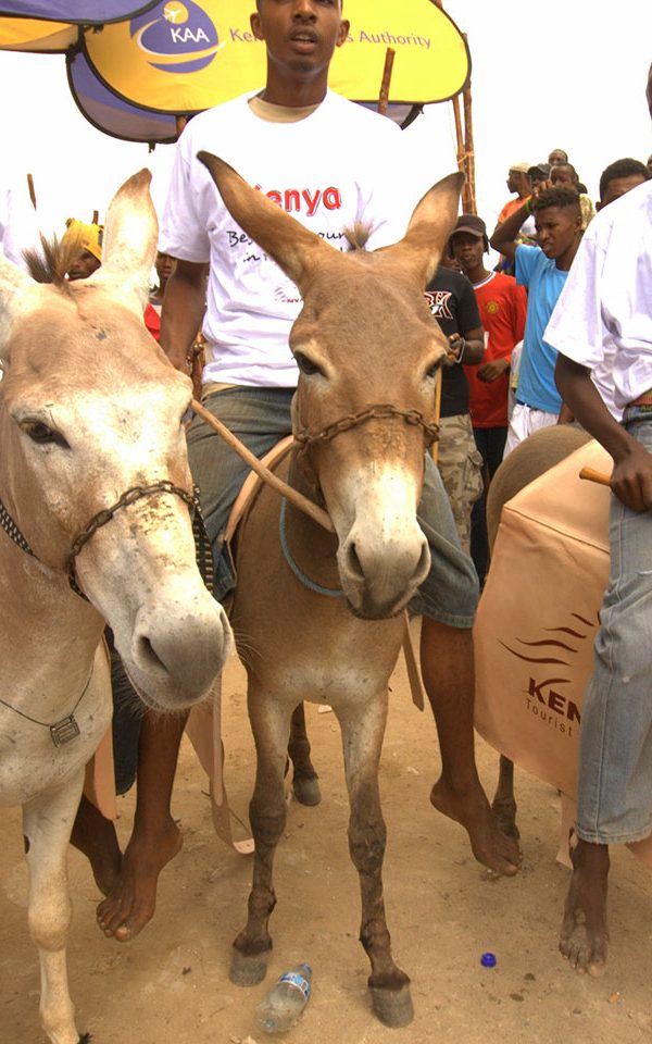 Lamu Cultural Festival: Donkey Races and Dhow Competitions