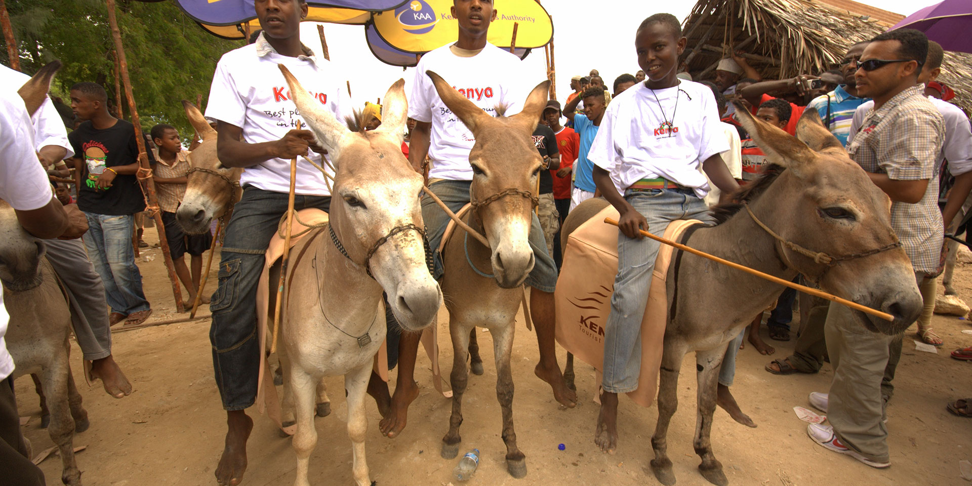 Lamu Cultural Festival: Donkey Races and Dhow Competitions