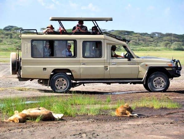 Land Cruiser vs Minivan Game Drives: Roof Hatches, Space and Dust