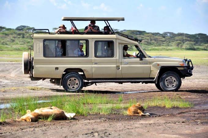 Land Cruiser vs Minivan Game Drives: Roof Hatches, Space and Dust