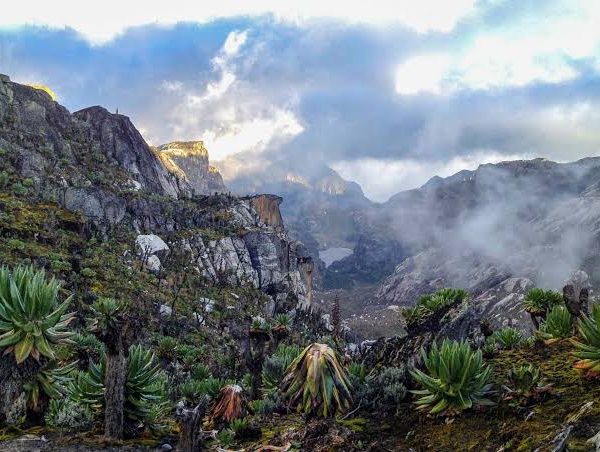 Landscape Photography in the Rwenzori and Virunga Mountains