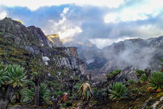 Landscape Photography in the Rwenzori and Virunga Mountains