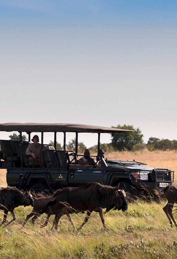 Liuwa Plain: Zambia's Secret Wildebeest Migration