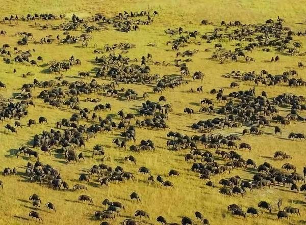 Zambia's Lower Zambezi: Canoeing Past Elephants