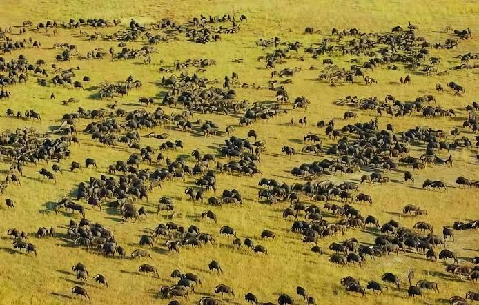 Zambia's Lower Zambezi: Canoeing Past Elephants