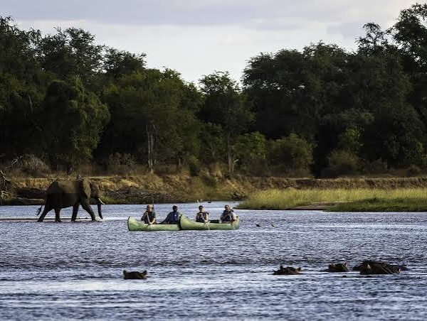 Mana Pools: Zimbabwe's Wild Canoe Safari Destination
