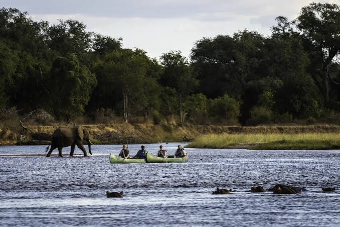 Mana Pools: Zimbabwe's Wild Canoe Safari Destination