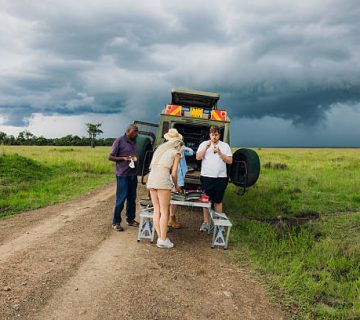 Medical Emergencies on Safari: Evacuation Options and Costs