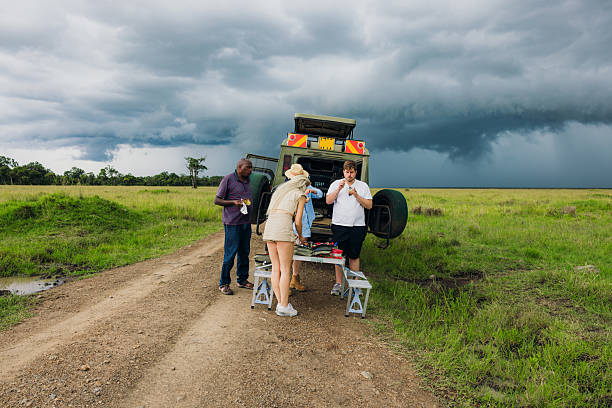 Medical Emergencies on Safari: Evacuation Options and Costs