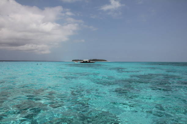 Mnemba Atoll Snorkelling: Booking, Cost and Reef Etiquette