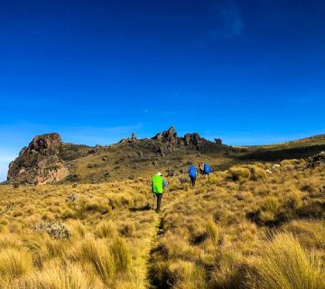 Mount Elgon Sasa, Sipi and Piswa Trails Compared