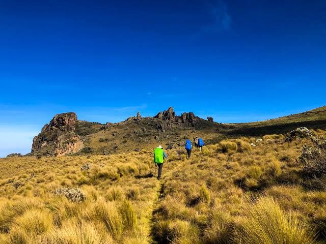 Mount Elgon Sasa, Sipi and Piswa Trails Compared