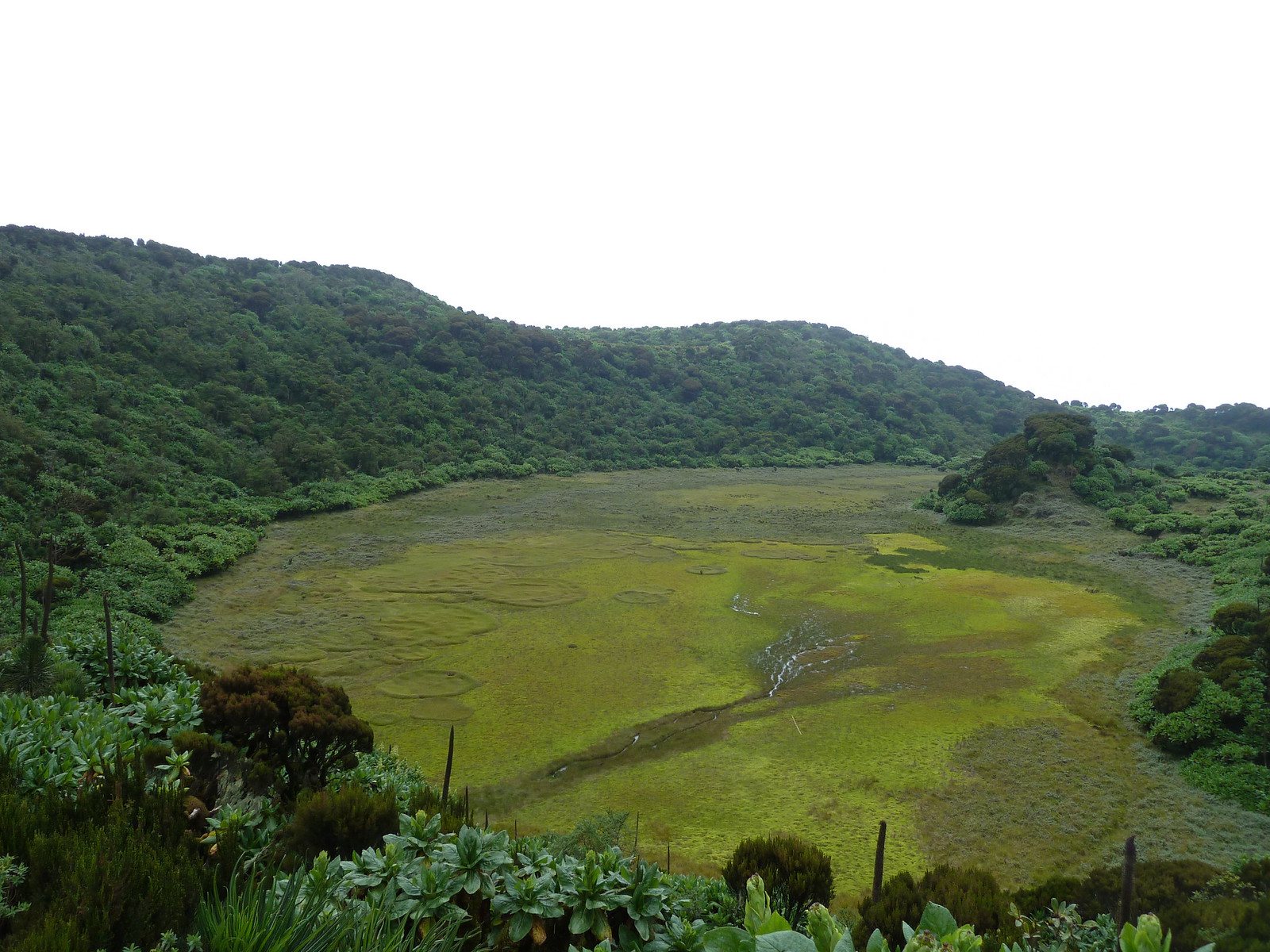Mount Gahinga2
