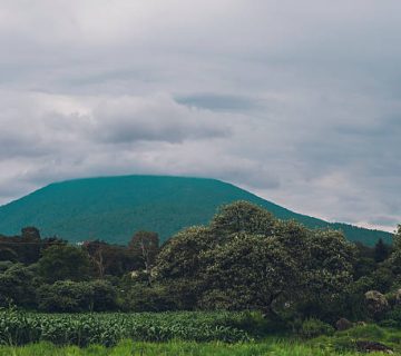 Mount Karisimbi rising above the forested Virunga Mountains in Volcanoes National Park, Rwanda 