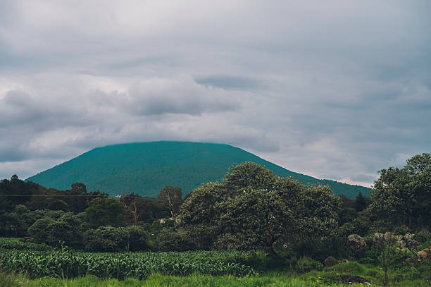 Mount Karisimbi rising above the forested Virunga Mountains in Volcanoes National Park, Rwanda 