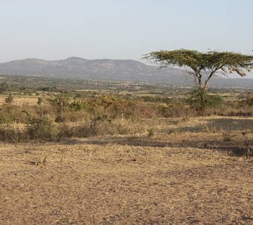 Mount Longonot Crater Hike: A Half Day Climb From Naivasha