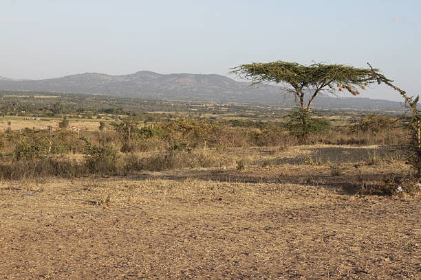Mount Longonot Crater Hike: A Half Day Climb From Naivasha