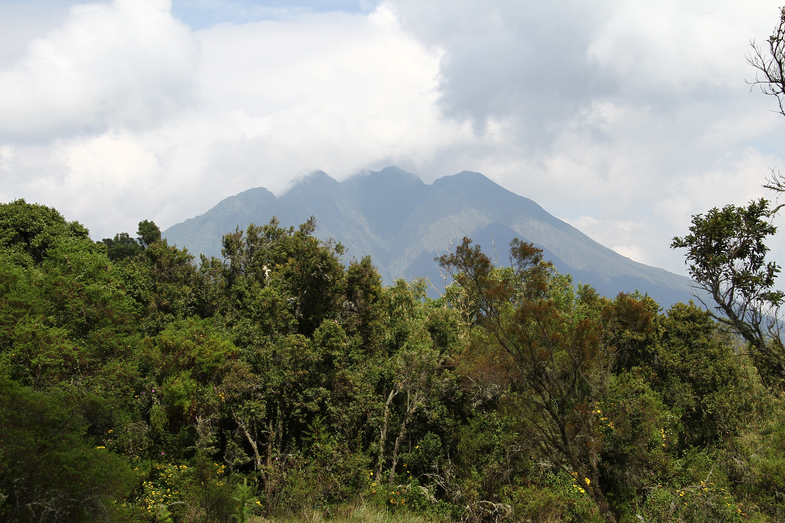 Mount Sabinyo4